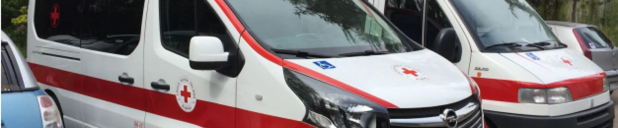 Mezzo trasporto 