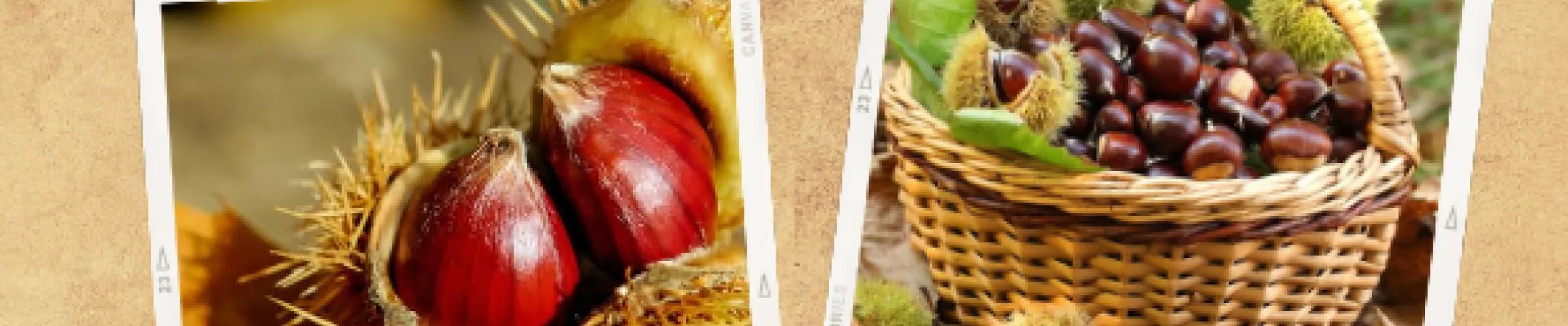 Castagne