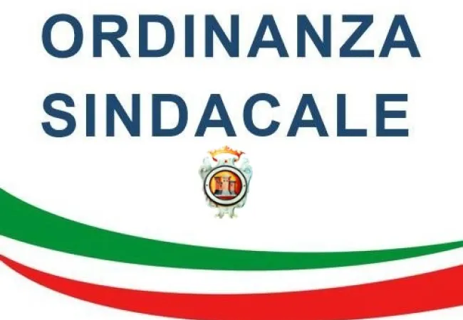 Ordinanza 