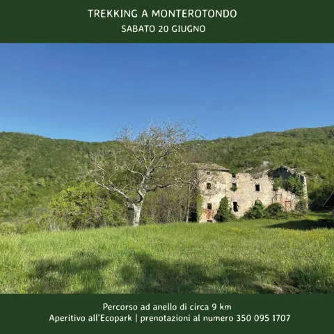 monterotondo