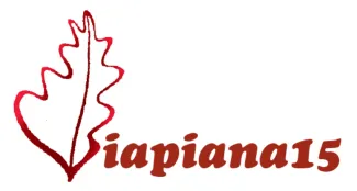 Logo viapiana 15
